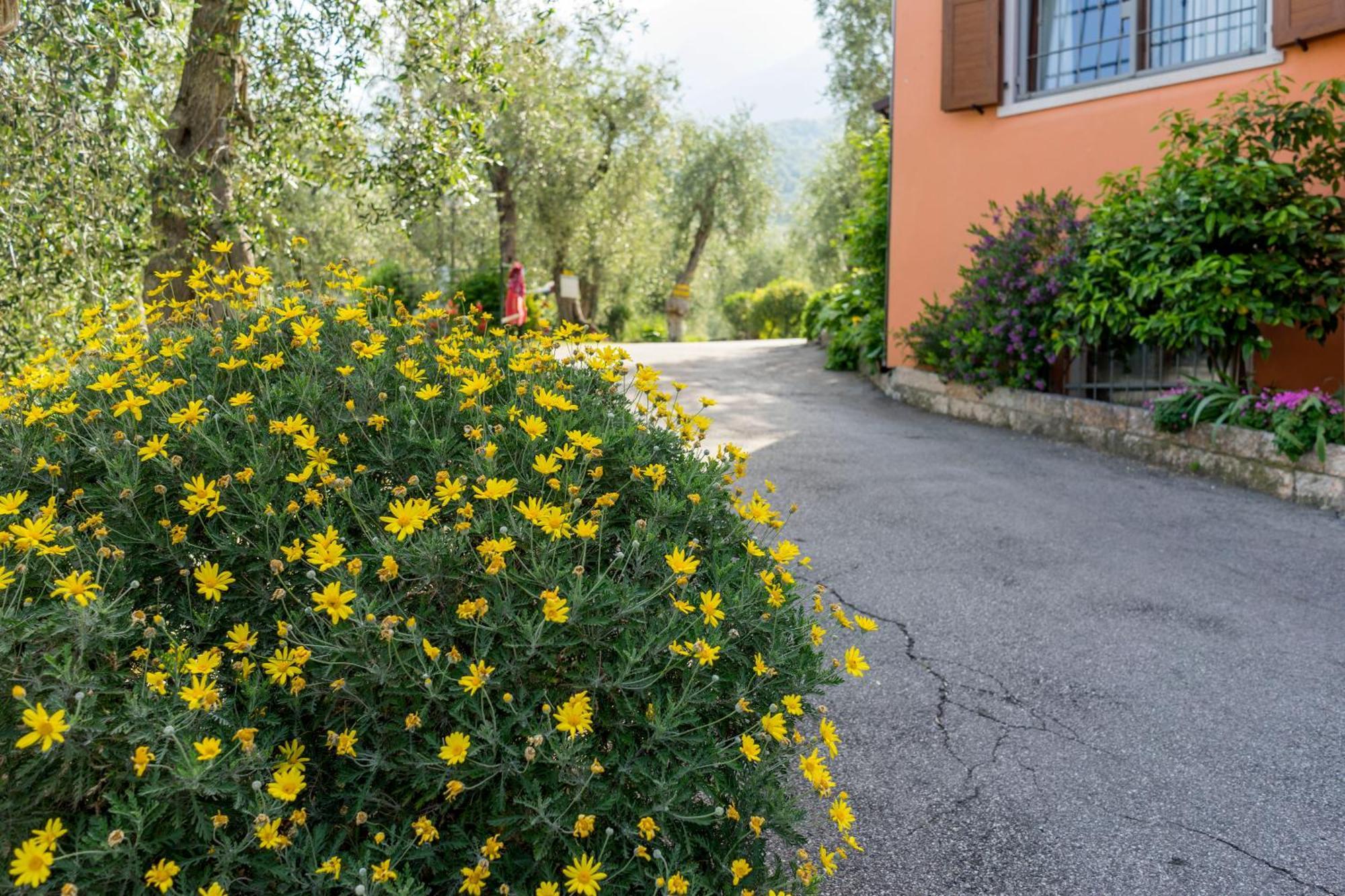 Campingplatz Monja Camping Village *