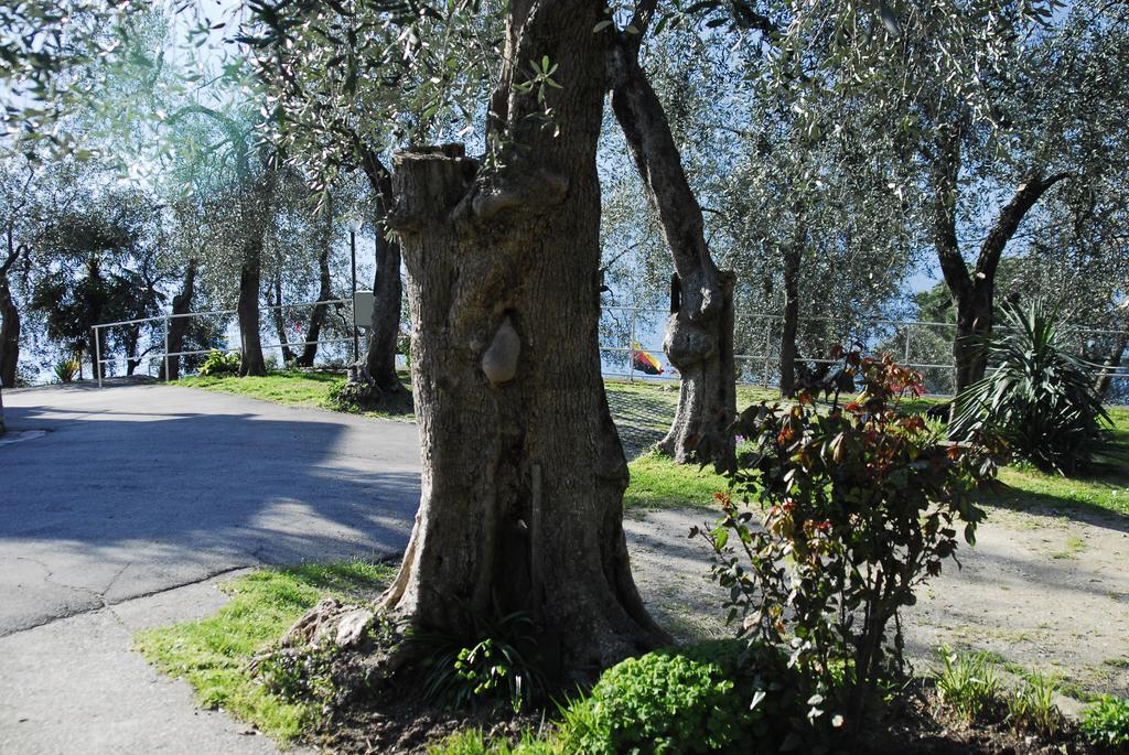 Monja Camping Village Brenzone sul Garda