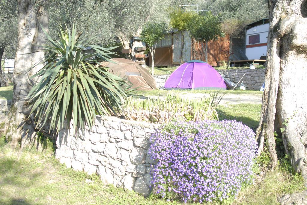Monja Village Camping *