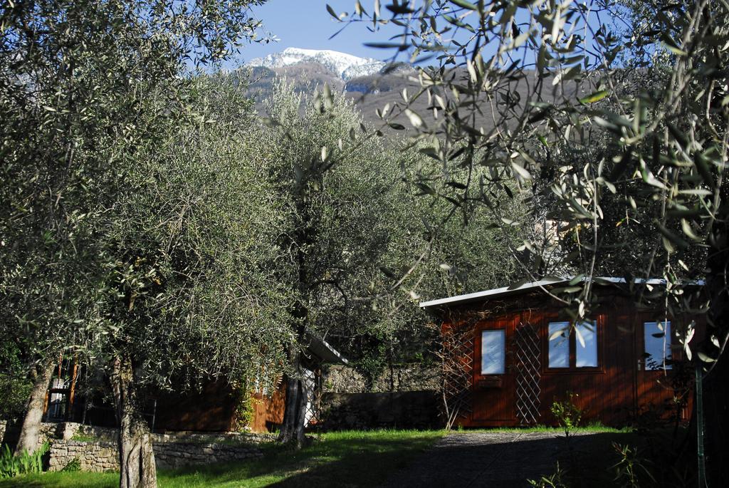 Campingplatz Camping Monja